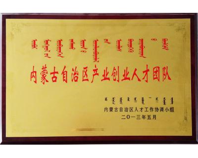 內(nèi)蒙古自治區(qū)產(chǎn)業(yè)創(chuàng)業(yè)人才團(tuán)隊