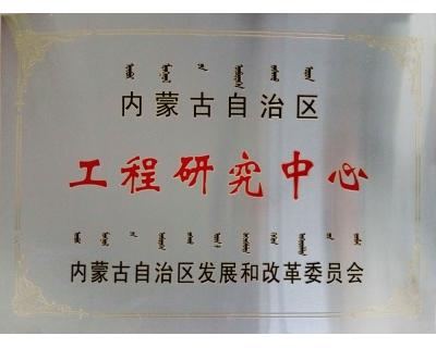 工程技術(shù)研究院