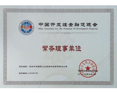 中國開發(fā)性金融促進(jìn)會(huì)常務(wù)理事